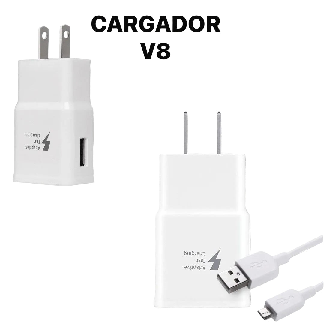 Cargador generico V8